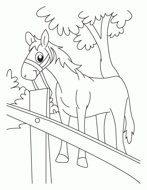 Kolorowanka Konie w Naturze - Do Pobrania i Druku kolorowanka do druku